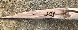 My whittled and burned stick